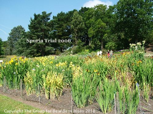 View of Spuria Trial (1)